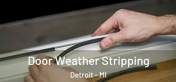 Door Weather Stripping Detroit - MI