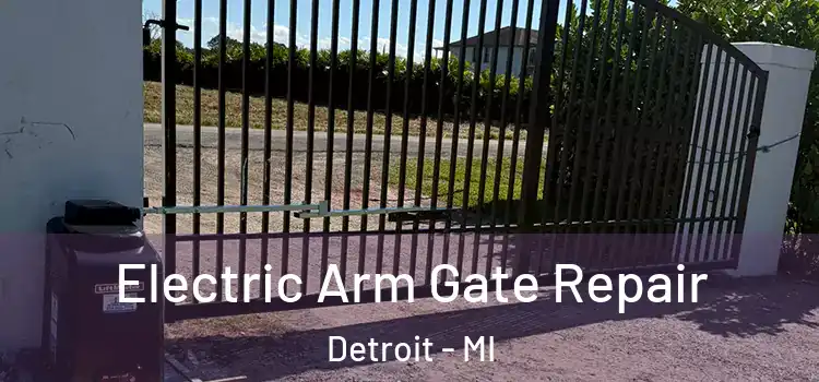 Electric Arm Gate Repair Detroit - MI