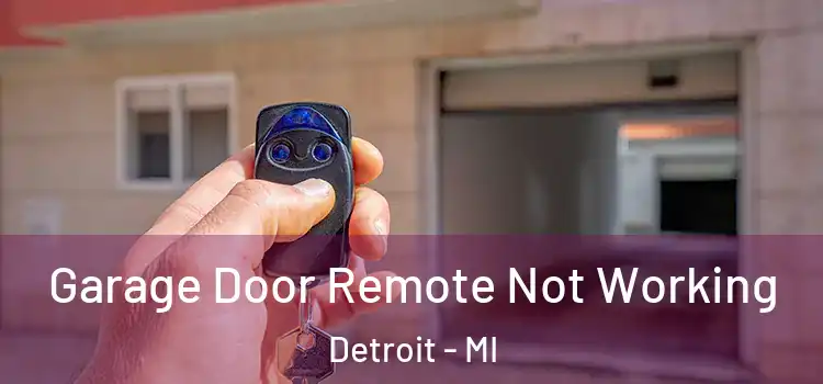  Garage Door Remote Not Working Detroit - MI