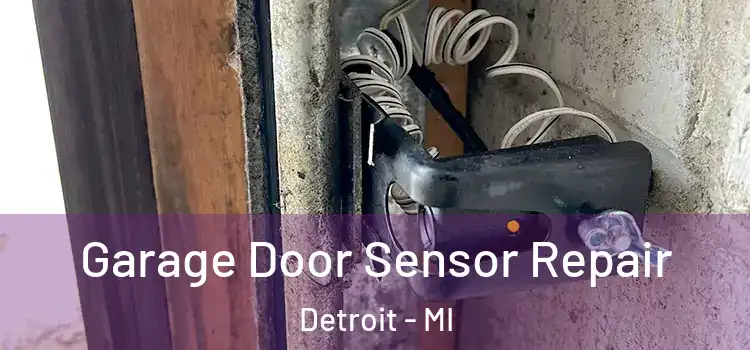  Garage Door Sensor Repair Detroit - MI