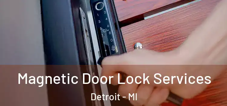 Magnetic Door Lock Services Detroit - MI